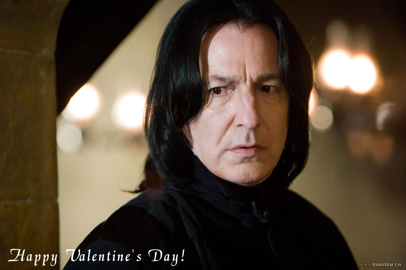 �n���[�E�|�b�^�[,�o�����^�C���f�[/Harry Potter, St.Valentine's Day